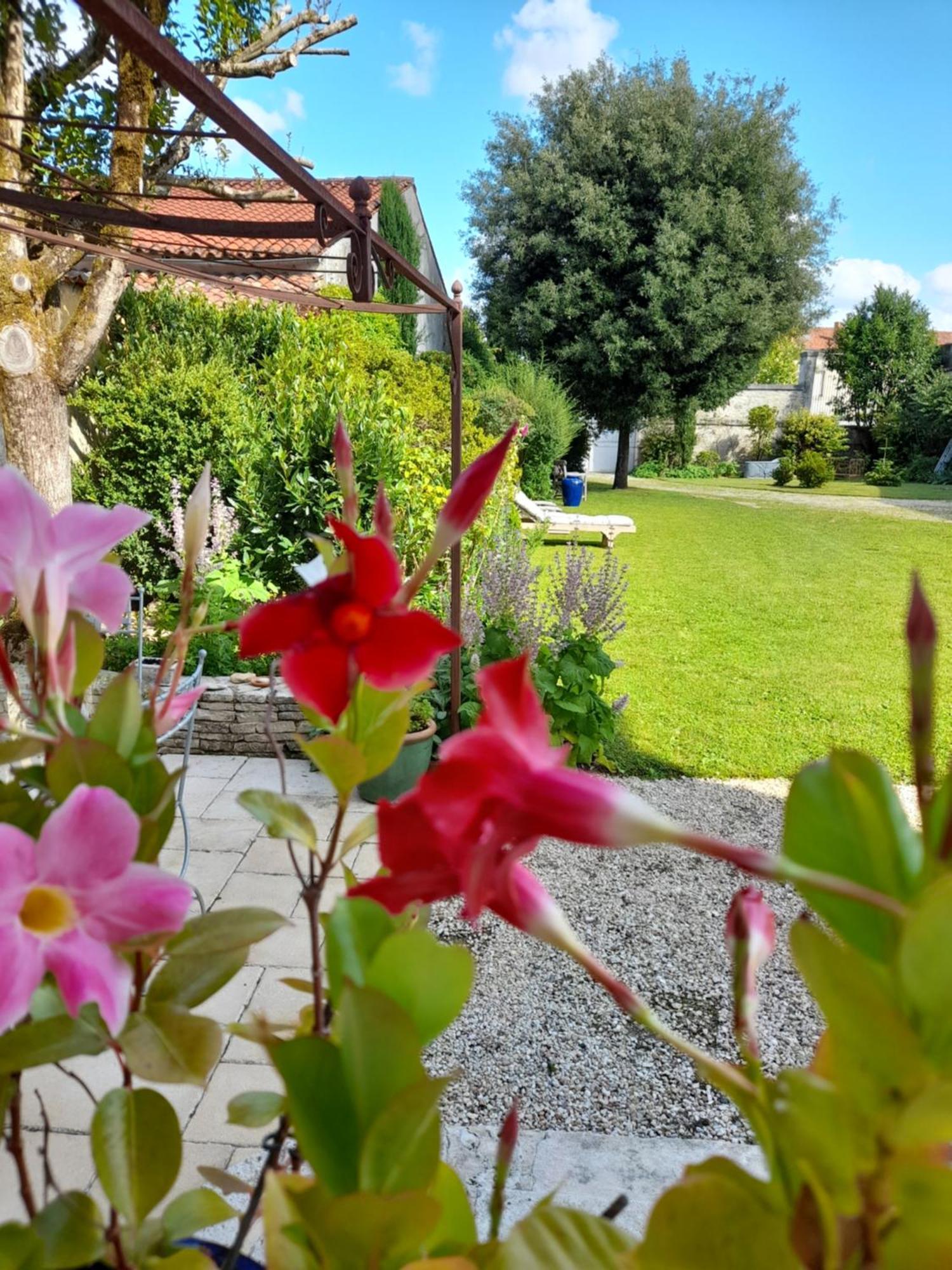 Le Jardin Des Anges Bed & Breakfast Saint-Jean-d'Angely Room photo